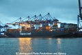 New York Express (KB-D111112-02).jpg
