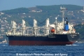 Ice Dragon (OK-290913-2).jpg