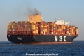 MSC Aliya JG-090322-3.jpg