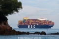 MSC Aliya (MS-120424-08).jpg