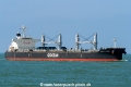 Holly Arrow SH-110821-01.jpg