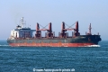 Hoihow TL-270325-2.jpg