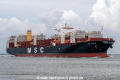 MSC Yashi B SH-010819-01.jpg