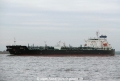 Rose G (SW-021105-1).jpg