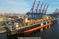 MSC Alexandra (KB-D110824-07).jpg