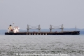 Honesty Ocean 150309-01.jpg
