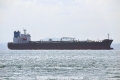 Sea Elephant OS-161019-03.jpg