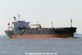 Sea Halcyone (KK-220517-1).jpg