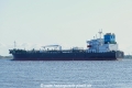 Sea Dolphin (KK-291019-1).jpg