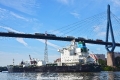 Sea Cirrus (KB-D220823-03).jpg