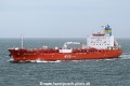 Magenta Ray HK-250525-1.jpg