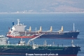 Ilse (MS-260710-1).jpg