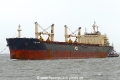 Ikan Parang (OK-171017-0).jpg
