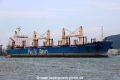 Imabari Logger RV-101216-02.jpg
