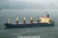 Ikan Altamira (170604-2).jpg