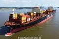 MSC Berangere TL-270824-6.jpg