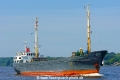 Kormoran 080606.jpg