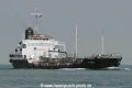 Sea Hawk (MS-171007).jpg