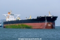 Olympic Leopard SH-180318-02.jpg