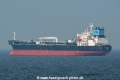 Sea Cougar HK-240719.jpg