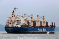 Imabari Logger RV-101216-04.jpg