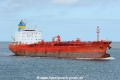 Magenta Ray JG-290324-2.jpg