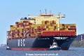 MSC Elisabetta (KB-D050425-03).jpg