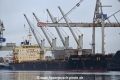 Interlink Acuity OS-121118-01.jpg