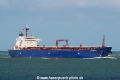 Seamercury (JS-100909-01).jpg