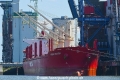 Indian Bulker 210520-01.jpg