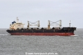 Interlink Acuity JG-010319-02.jpg
