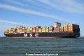 MSC Darlene (LW-030525-09).jpg