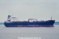 Seabright (KK-120620-1).jpg