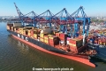 MSC Darlene (KB-D280425-07).jpg