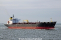 Seacod OS-230913-03.jpg