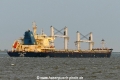 Interlink Tenacity (KK-080818-2).jpg
