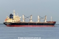 Interlink Verity (KK-160916-2).jpg