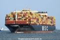MSC Darlene (LW-030525-10).jpg