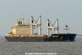 Interlink Tenacity (KK-080818-1).jpg