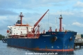 Seacrown 1 (KB-D170417-01).jpg