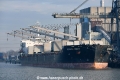 Interlink Comity OS-210119-04.jpg