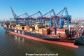 MSC Darlene (KB-D280425-05).jpg