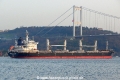 Interlink Parity (OK-180214-4).jpg