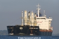 Interlink Parity 280718-01.jpg