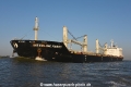 Interlink Parity 280718-09.jpg