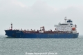 Seabright HK-200821-1.jpg