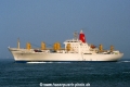 Snow Crystal (K2003-MS).jpg