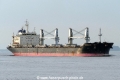 Interlink Verity (KK-160916-1).jpg