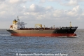 Seamullet JG-140511.jpg