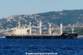 Interlink Fidelity (OK-240917-0).jpg